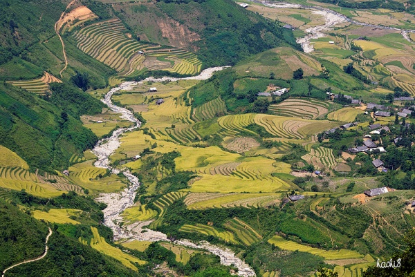 Những d&ograve;ng suối đẹp duy&ecirc;n d&aacute;ng ở T&acirc;y Bắc